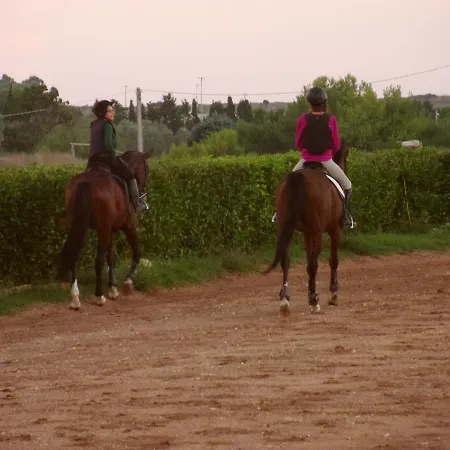 Bed & Breakfast La Terrazza Sul Mare Otranto
